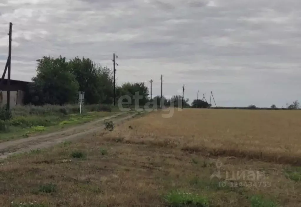 Участок в Ростовская область, Родионово-Несветайская сл.  (874.55 ... - Фото 1