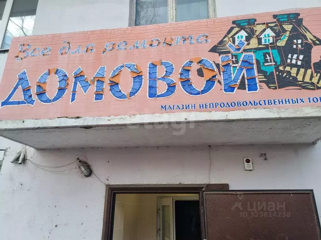 Помещение свободного назначения в Свердловская область, Кушва ул. ... - Фото 1