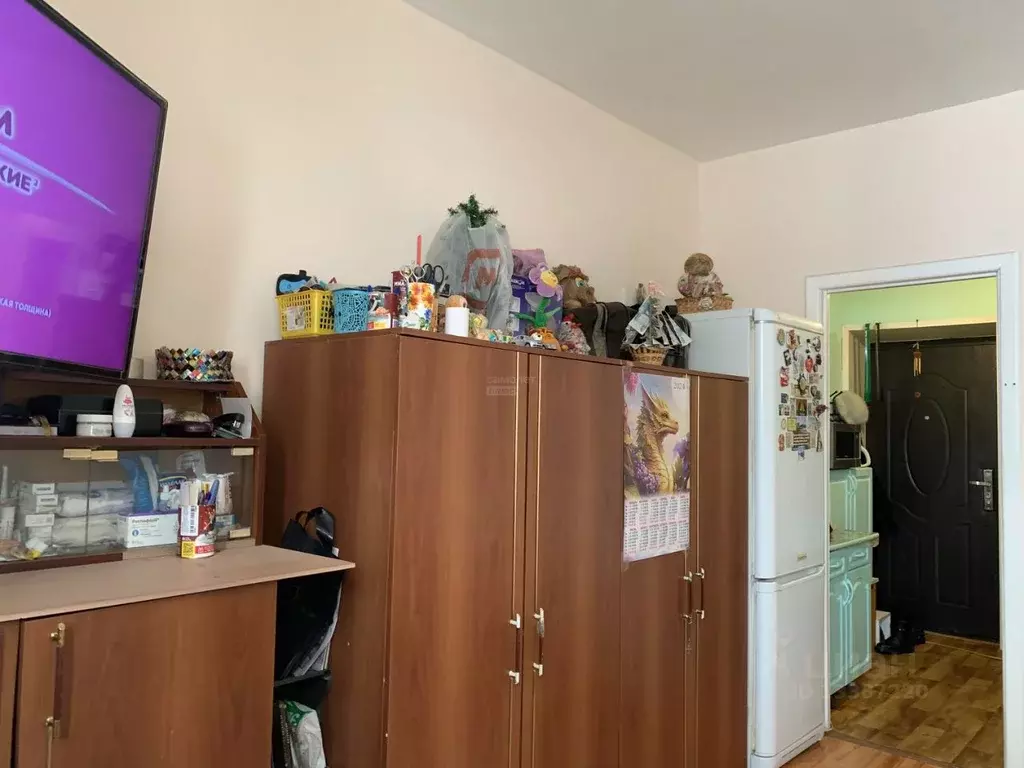 Студия Удмуртия, Ижевск ул. Серова, 34 (21.2 м) - Фото 1