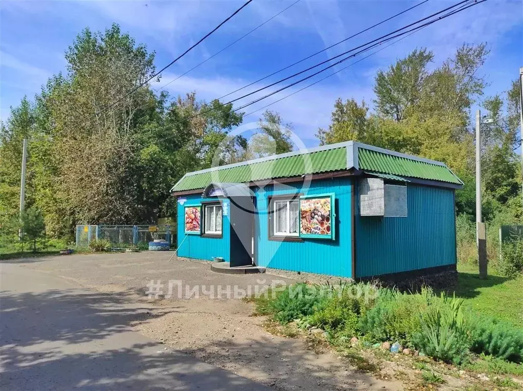 Торговая площадь в Рязанская область, Александро-Невский рп ул. ... - Фото 0