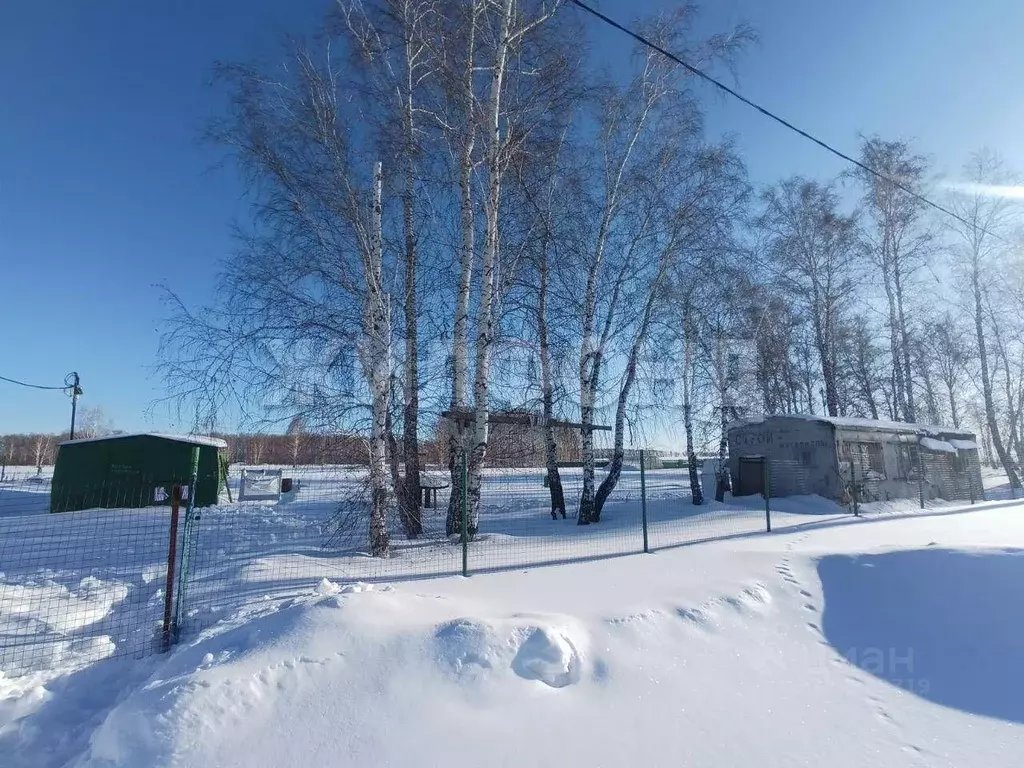 Участок в Новосибирская область, Коченевский район, Эко-городок ... - Фото 1