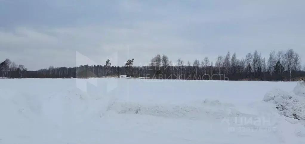 Участок в Тюменская область, Нижнетавдинский район, д. Московка, Чехов ... - Фото 0