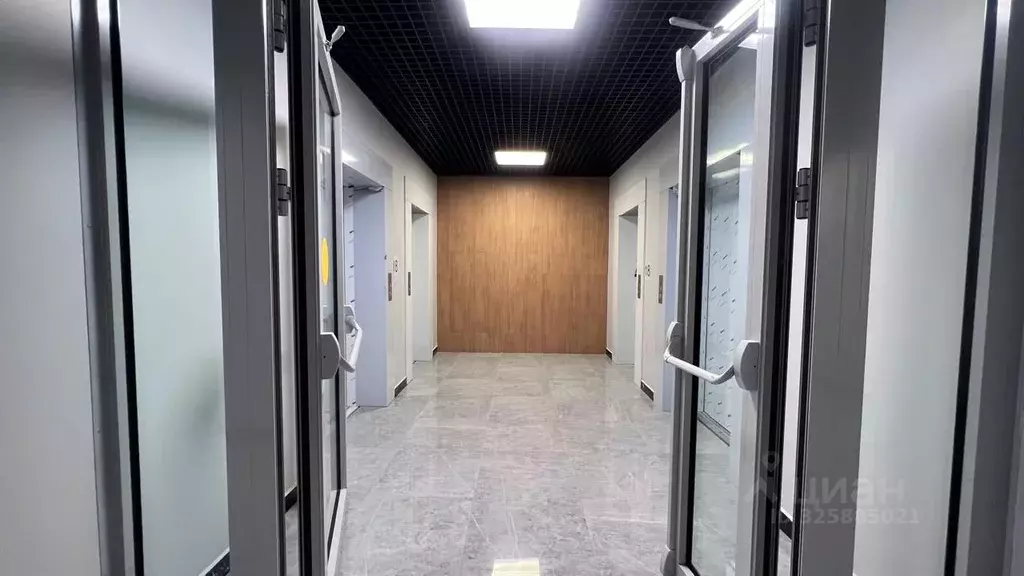 Студия Краснодарский край, Сочи городской округ, Дагомыс пгт ш. ... - Фото 2