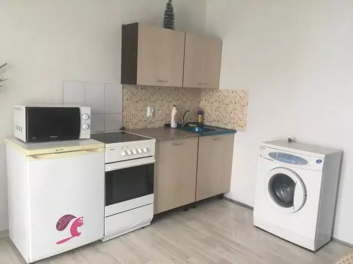 Студия Новосибирская область, Новосибирск ул. Котовского, 40/2 (24.0 ... - Фото 1