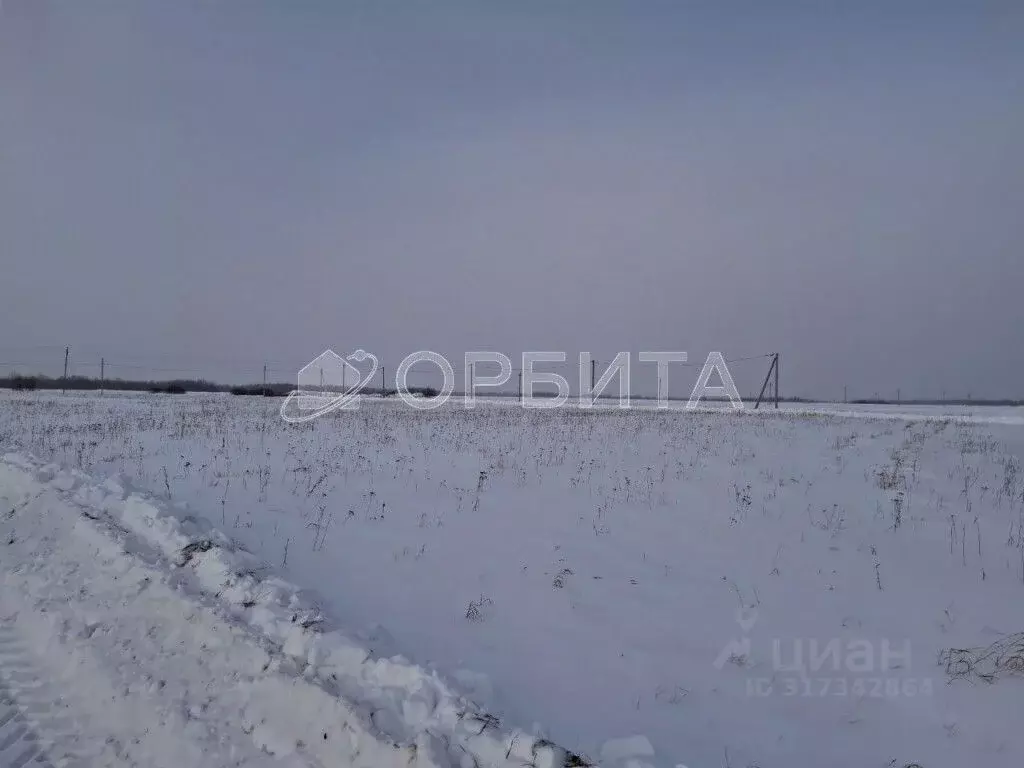 Участок в Тюменская область, Тюменский район, д. Марай  (9.86 сот.) - Фото 0