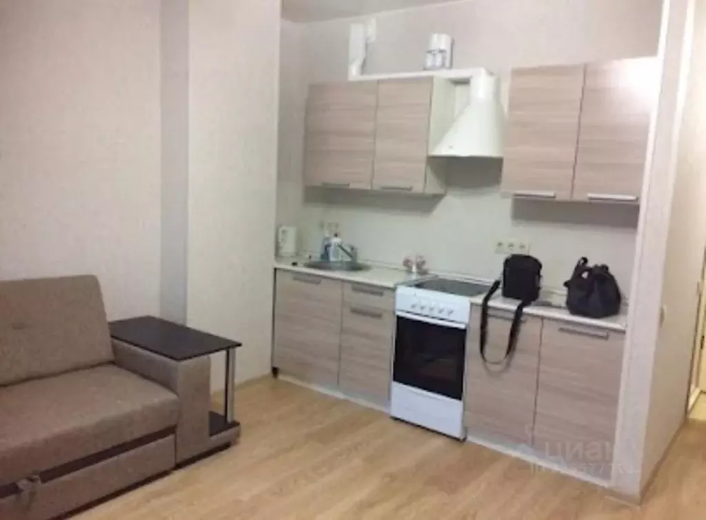 Студия Московская область, Красногорск ул. Молодежная, 3 (27.0 м) - Фото 2