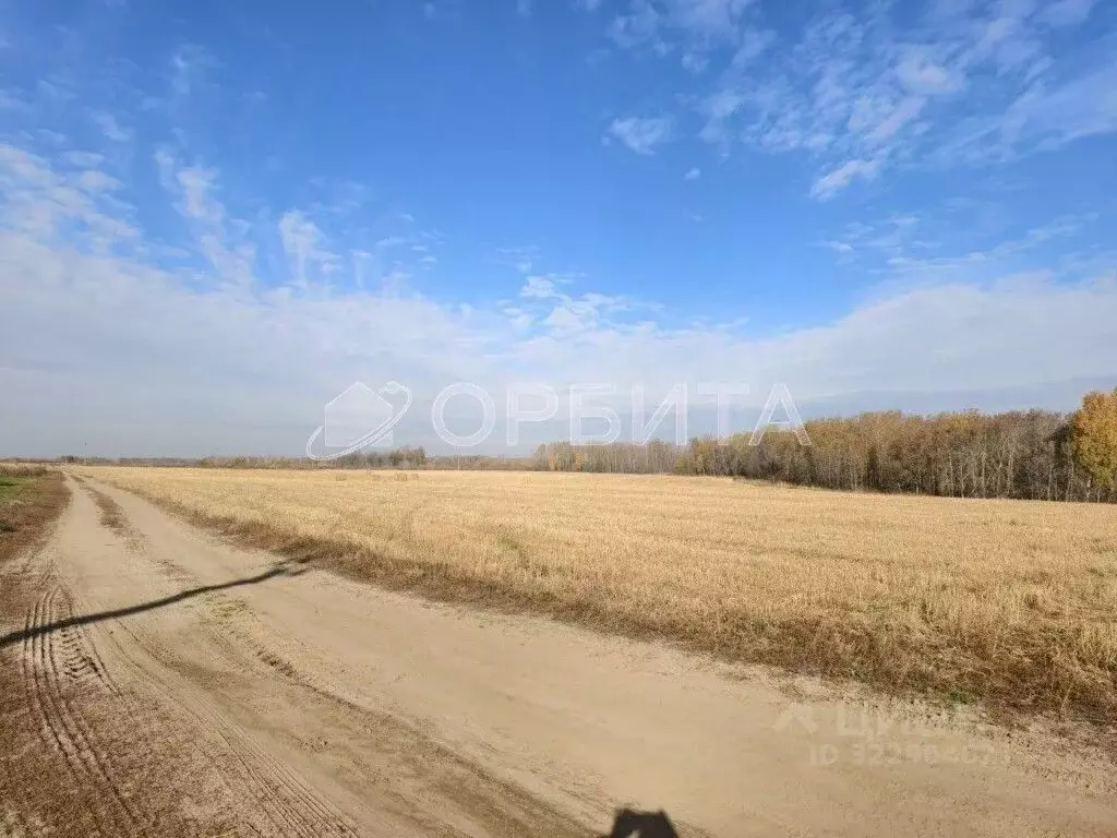Участок в Тюменская область, Тюменский муниципальный округ, с. Борки  ... - Фото 2