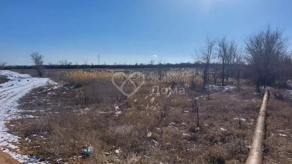 Участок в Волгоградская область, Городищенский район, Ерзовское ... - Фото 1