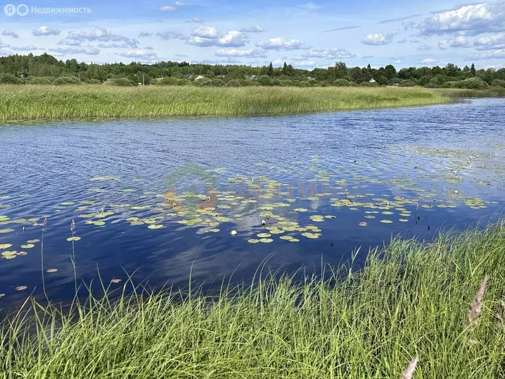 Участок в Дзержинское сельское поселение, деревня Ручьи, Речная улица ... - Фото 1