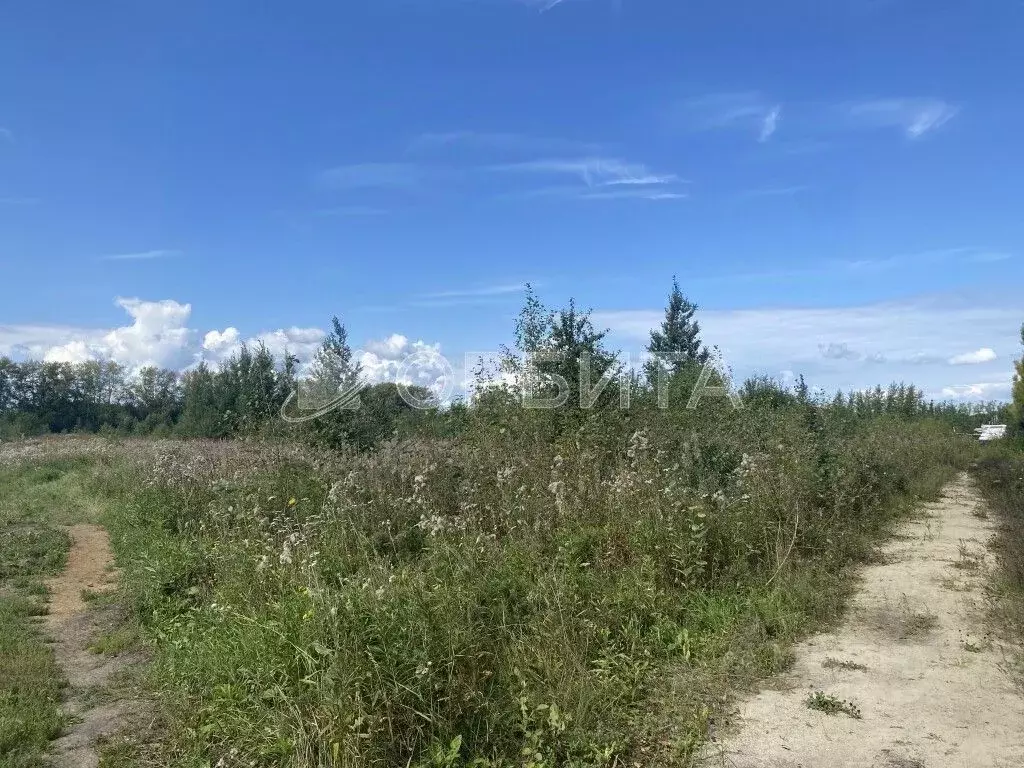 Участок в Тюменская область, Тюменский район, с. Луговое Плодовая ул. ... - Фото 0