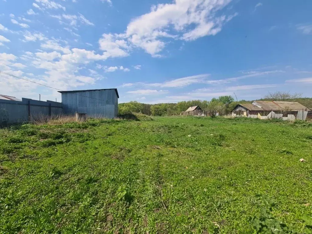 Участок в Самарская область, Красноярский район, Большая Каменка ... - Фото 2