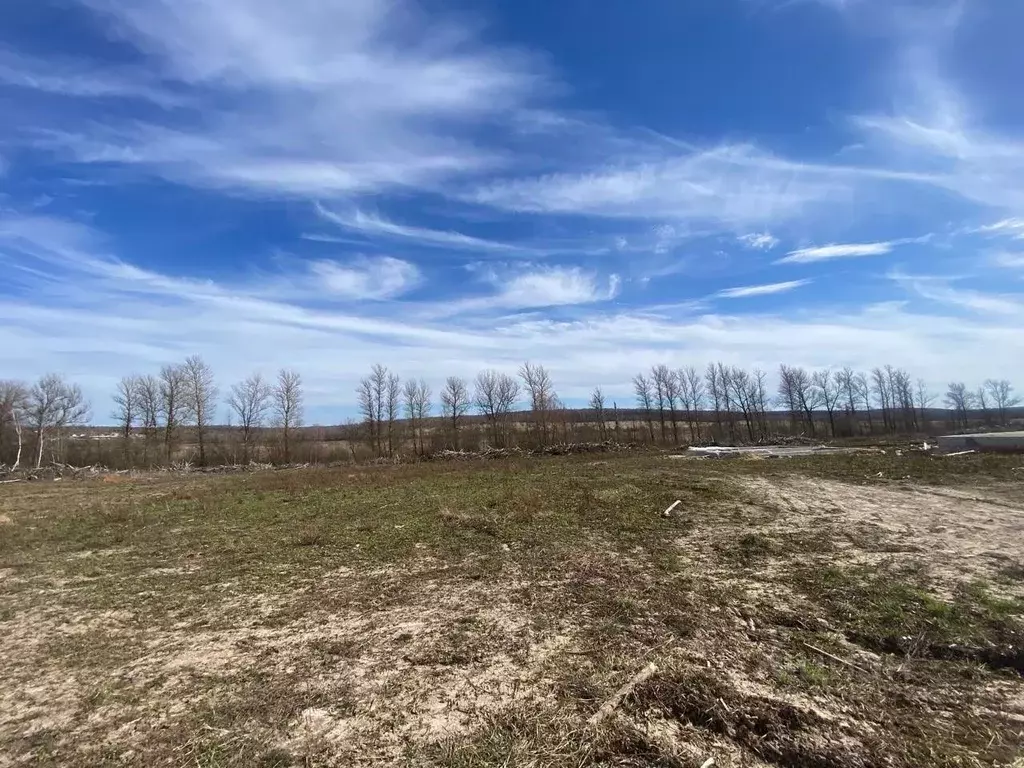Участок в Тульская область, Тула городской округ, д. Янчерево  (8.0 ... - Фото 1