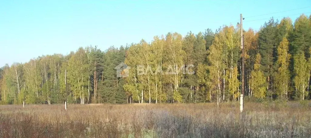 Участок в Владимирская область, Судогодский район, Лавровское ... - Фото 0