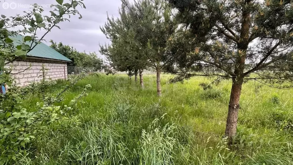 Участок в село Супонево, Васильковая улица (7 м) - Фото 1
