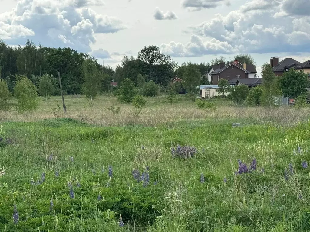 Участок в Московская область, Богородский городской округ, д. ... - Фото 0
