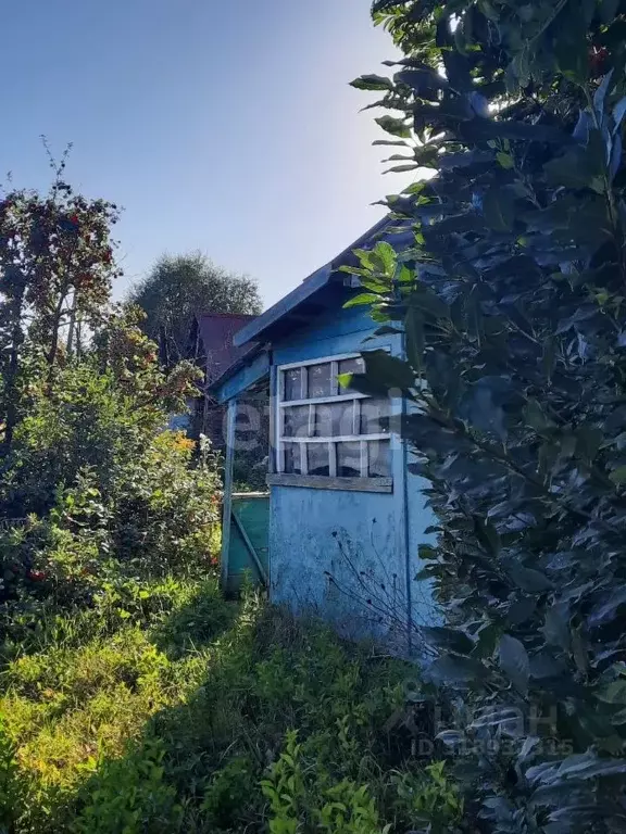 Дом в Алтайский край, Зональный район, Автомобилист СДТ ул. Сиреневая ... - Фото 2