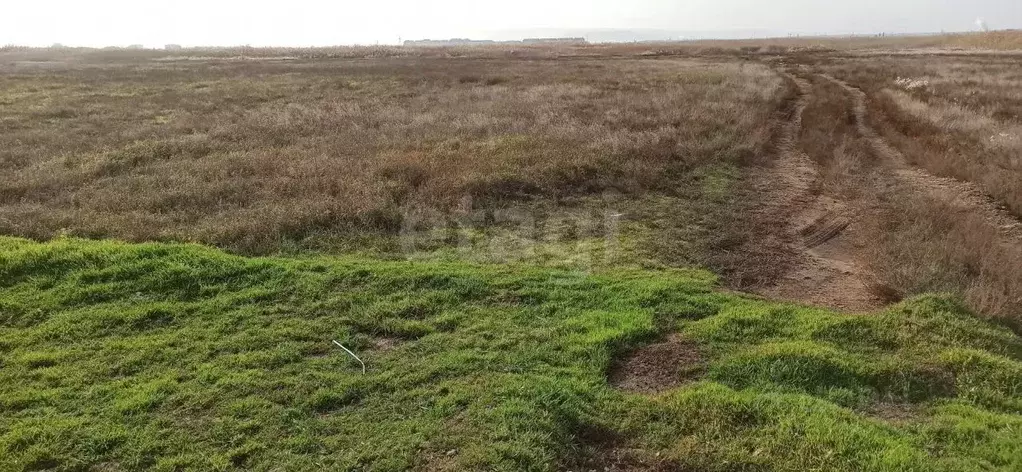 Участок в Крым, Феодосия ул. Якорная (10.0 сот.) - Фото 1