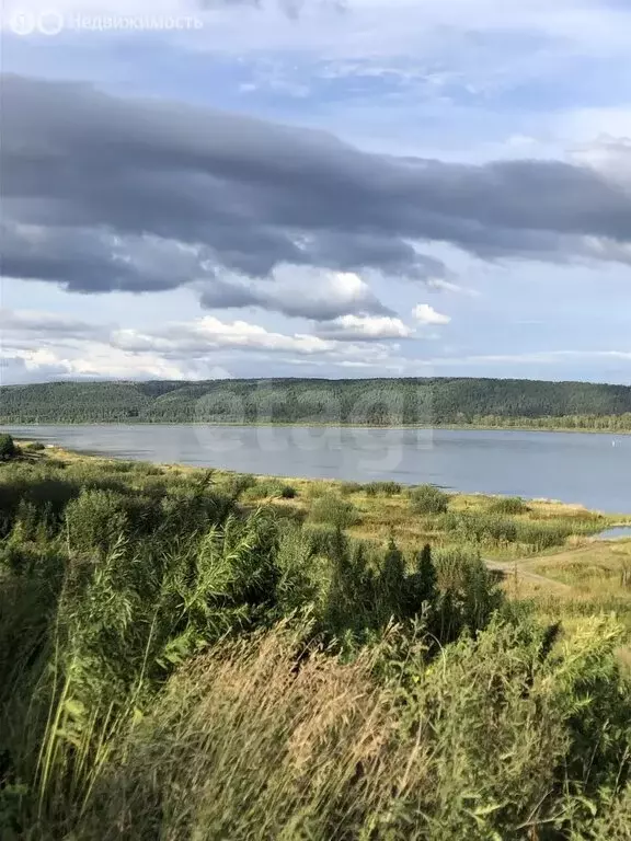 Участок в Красноярский край, Большемуртинско-Сухобузимский ... - Фото 2