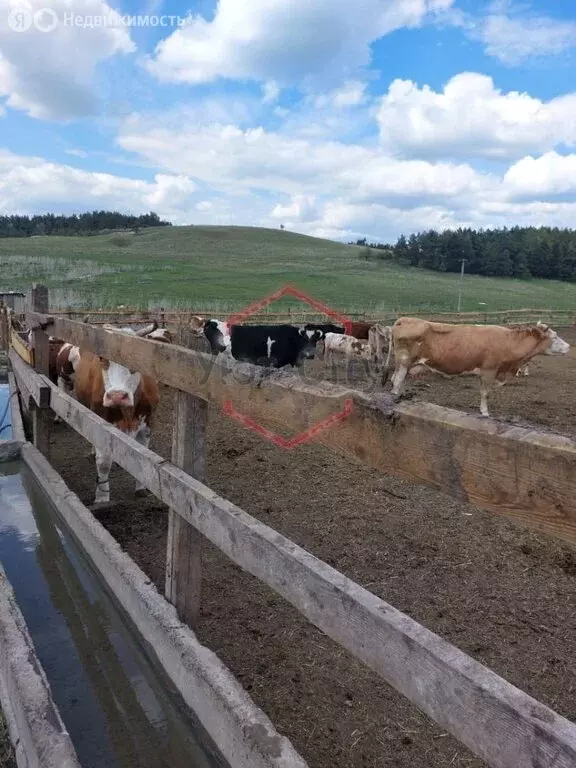 Помещение свободного назначения (30000 м) - Фото 2