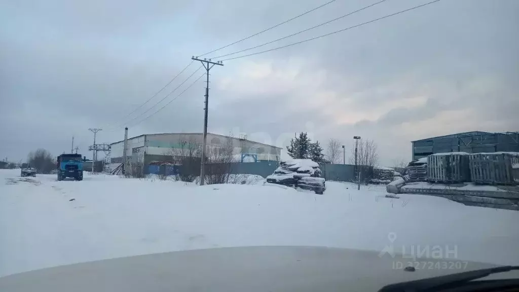 Склад в Ямало-Ненецкий АО, Ноябрьск Промузел Пелей кв-л, 11-я панель, ... - Фото 2