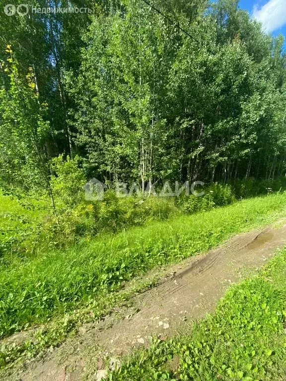 Участок в Вологодский муниципальный округ, садоводческое товарищество ... - Фото 0