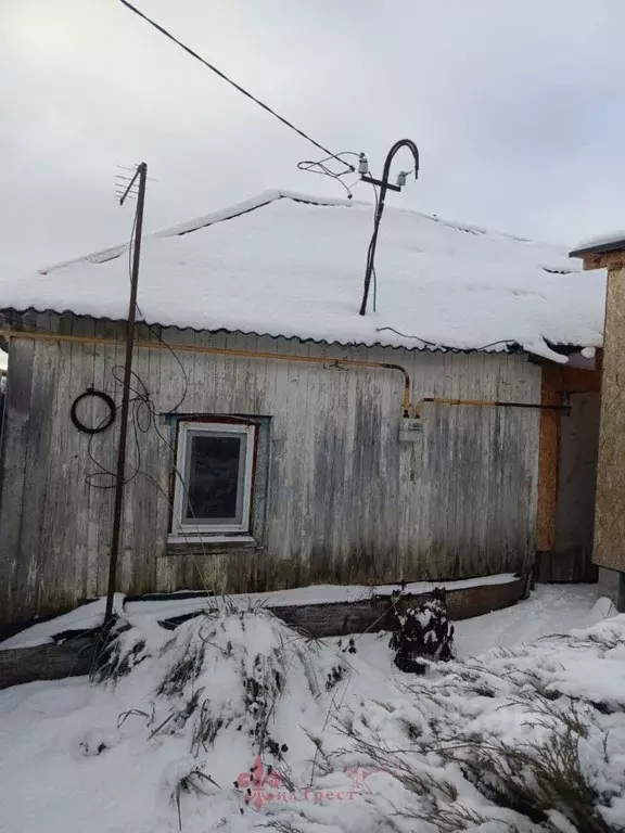 Дом в Белгородская область, Яковлевский муниципальный округ, с. Шопино ... - Фото 2