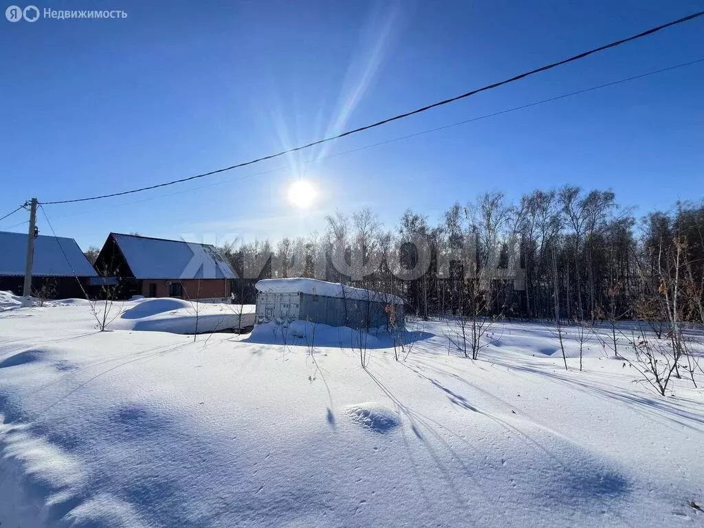 Участок в Новосибирский район, Верх-Тулинский сельсовет, посёлок ... - Фото 2