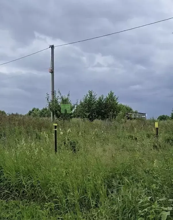 Участок в Татарстан, Зеленодольский район, Айшинское с/пос, д. ... - Фото 2