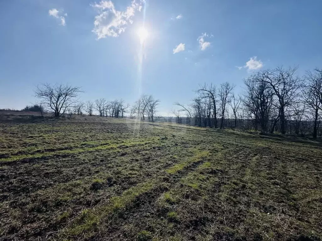 Участок в Крым, Симферопольский район, с. Донское  (361.39 сот.) - Фото 2
