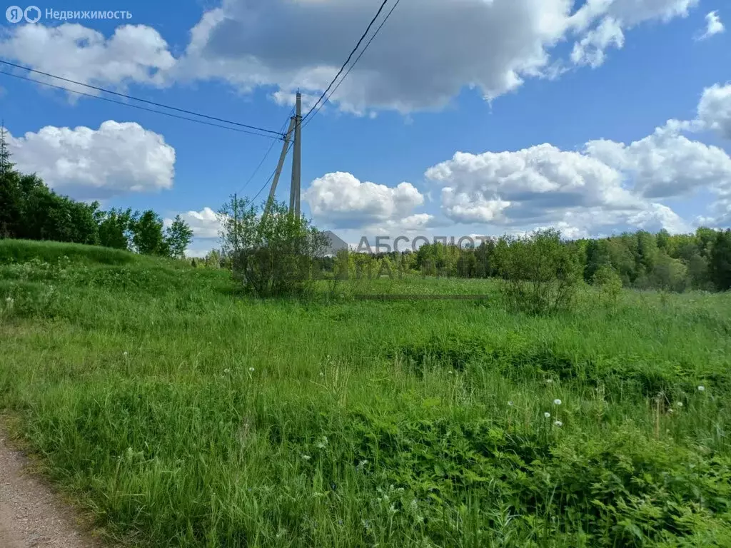 Участок в Валдайский район, Короцкое сельское поселение, деревня ... - Фото 1