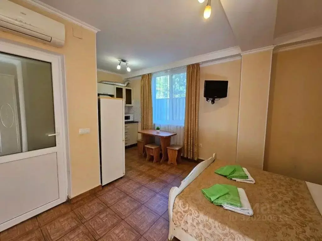 1-к кв. Краснодарский край, Сочи ул. Ленина, 42А (25.0 м) - Фото 1
