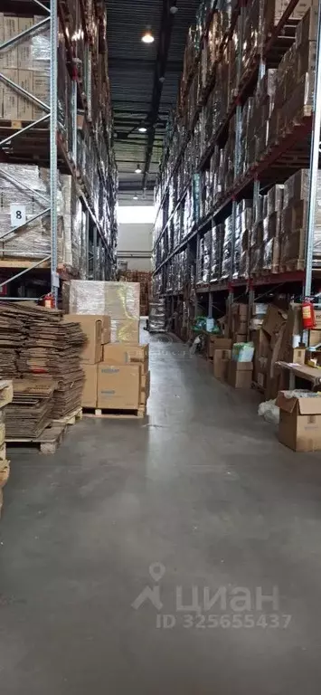 Склад в Московская область, Подольск Вишневая ул., 11В (3000 м) - Фото 2