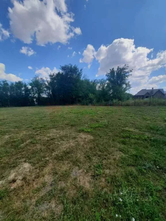 Участок в Ростовская область, Аксайский район, Большелогское с/пос, ... - Фото 1