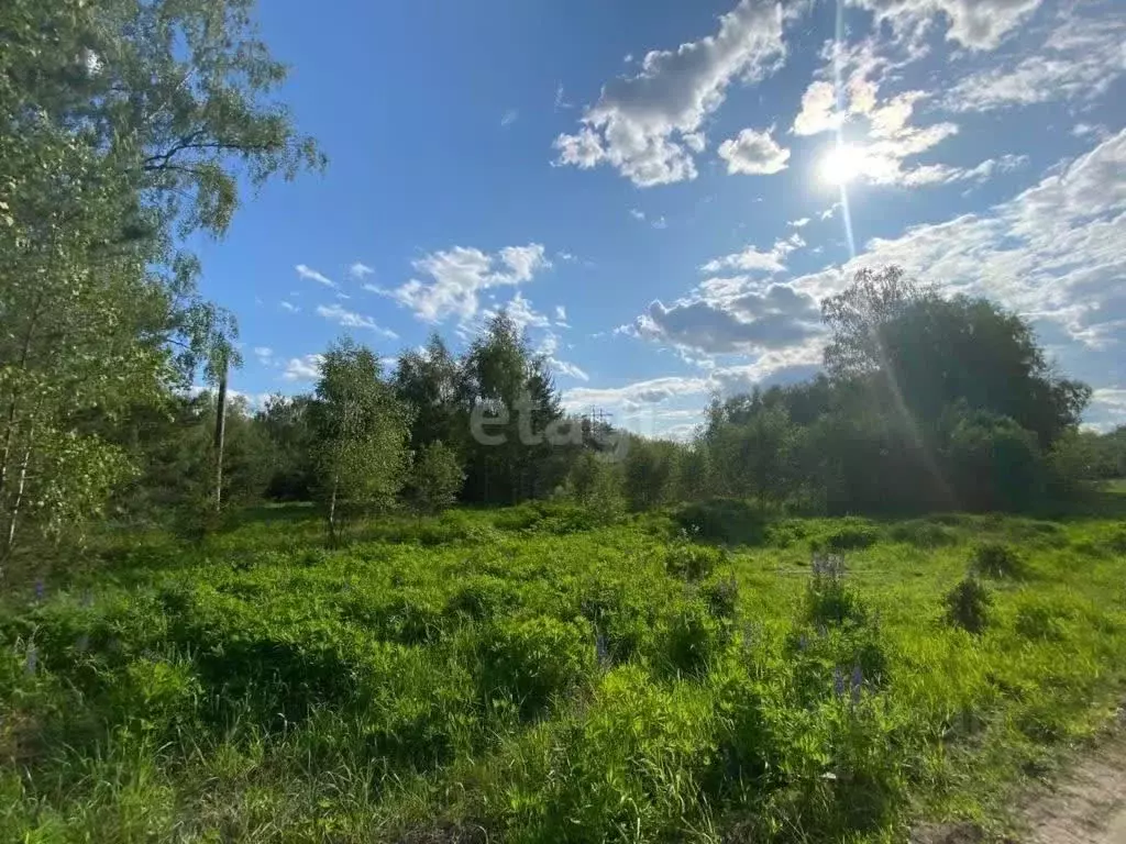 Участок в Владимирская область, Петушинский муниципальный округ, д. ... - Фото 1