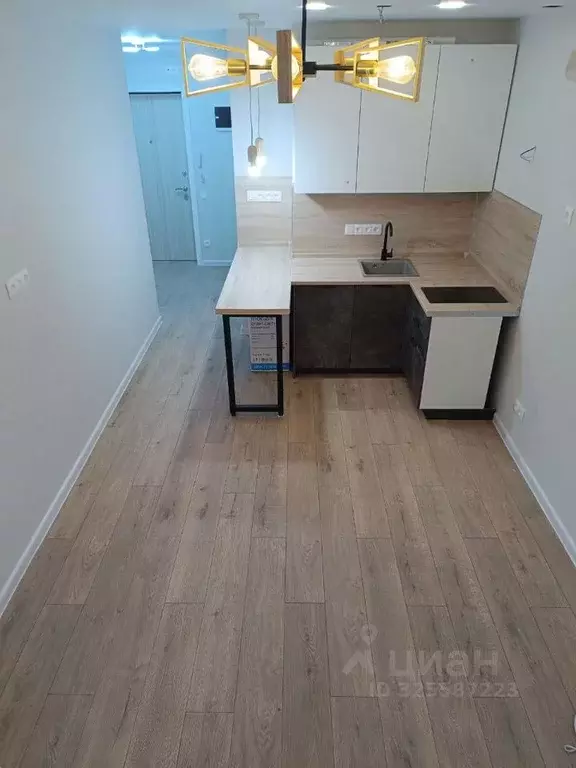 Студия Московская область, Ленинский городской округ, д. Сапроново ул. ... - Фото 2