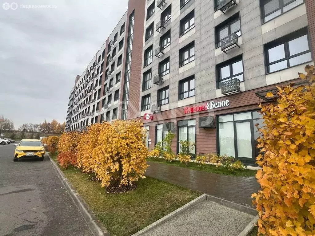 Торговая площадь (87.2 м) - Фото 2