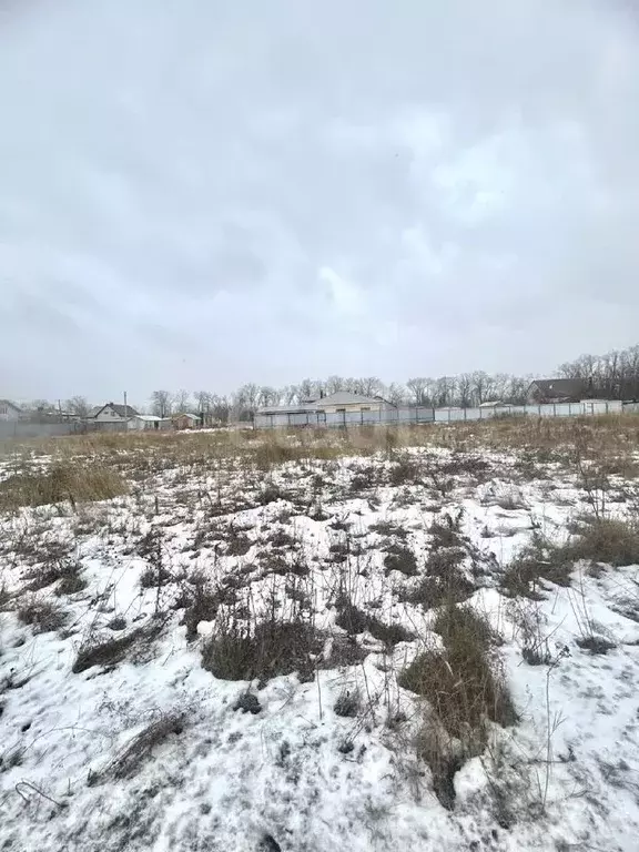 Участок в Воронежская область, Хохольский район, Петинское с/пос, пос. ... - Фото 1