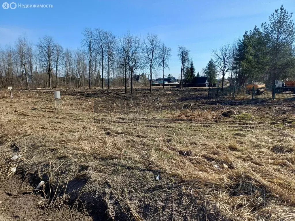 Участок в Новгородский район, Ермолинское сельское поселение, деревня ... - Фото 1