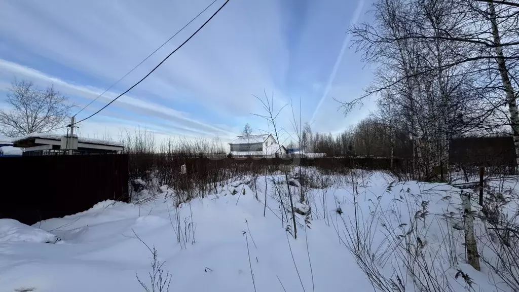 Участок в Санкт-Петербург пос. Стрельна, 17Бс1 (11.5 сот.) - Фото 2