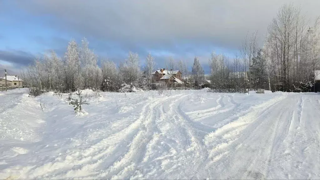 Участок в Ленинградская область, Кириши пл. Ленина (10.0 сот.) - Фото 1