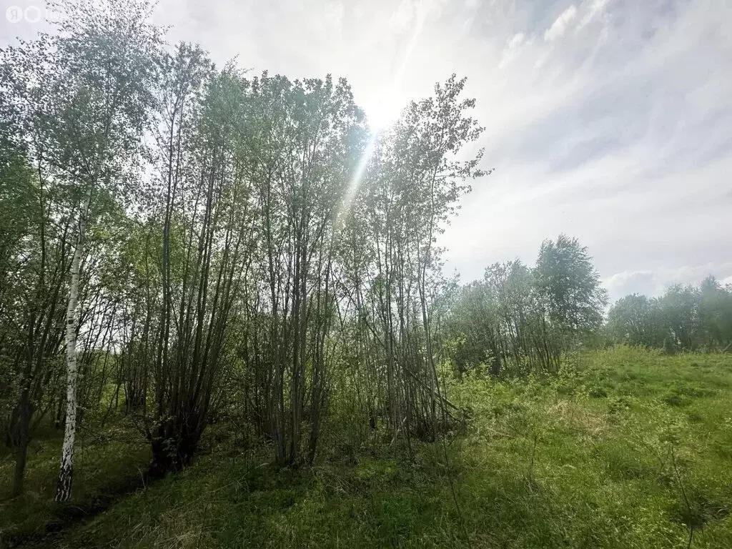 Участок в Московская область, городской округ Подольск, ДНТ Удача (8.5 ... - Фото 1