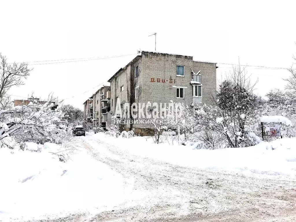 2-к кв. Ленинградская область, Приозерский район, пос. Сосново ул. ... - Фото 0