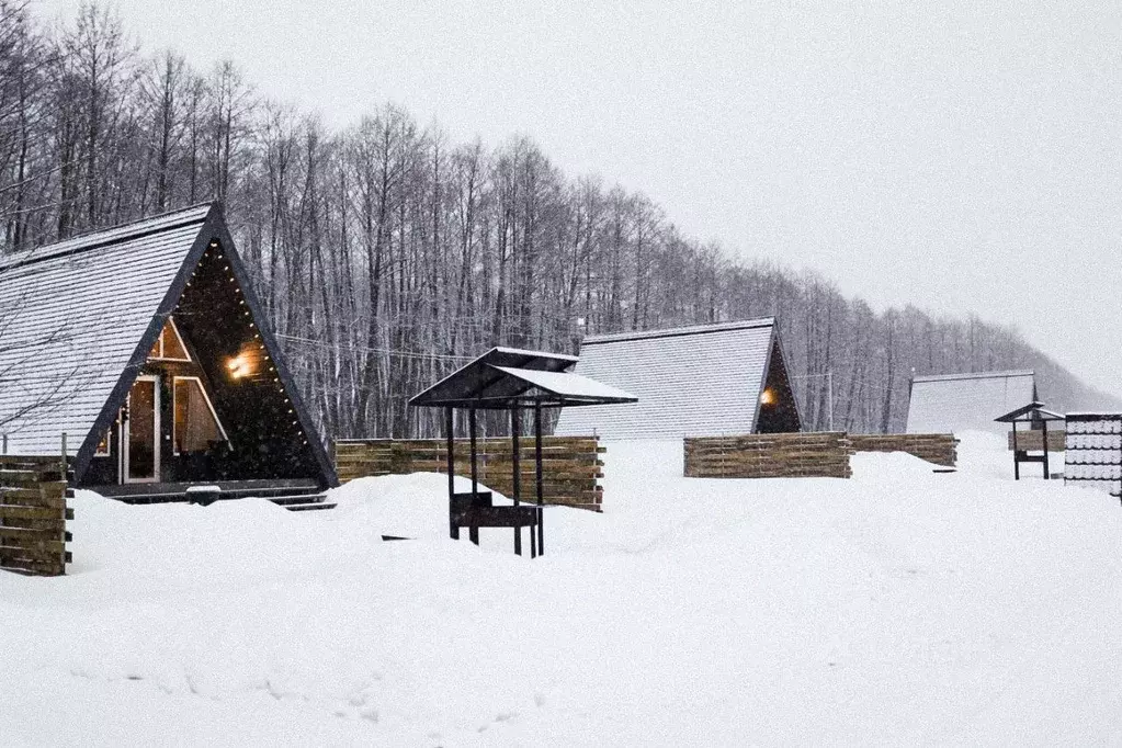 Дом в Рязанская область, Рыбновский муниципальный округ, д. Иванчино  ... - Фото 2