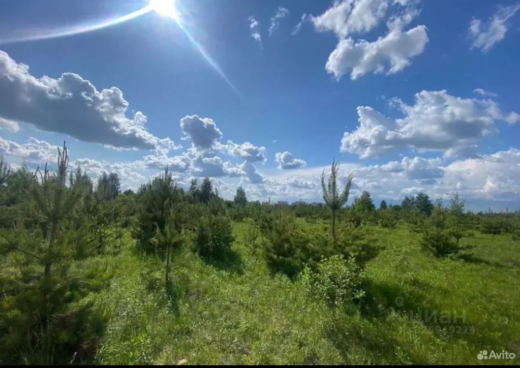 Участок в Московская область, Раменское ул. Июльская (6.0 сот.) - Фото 2