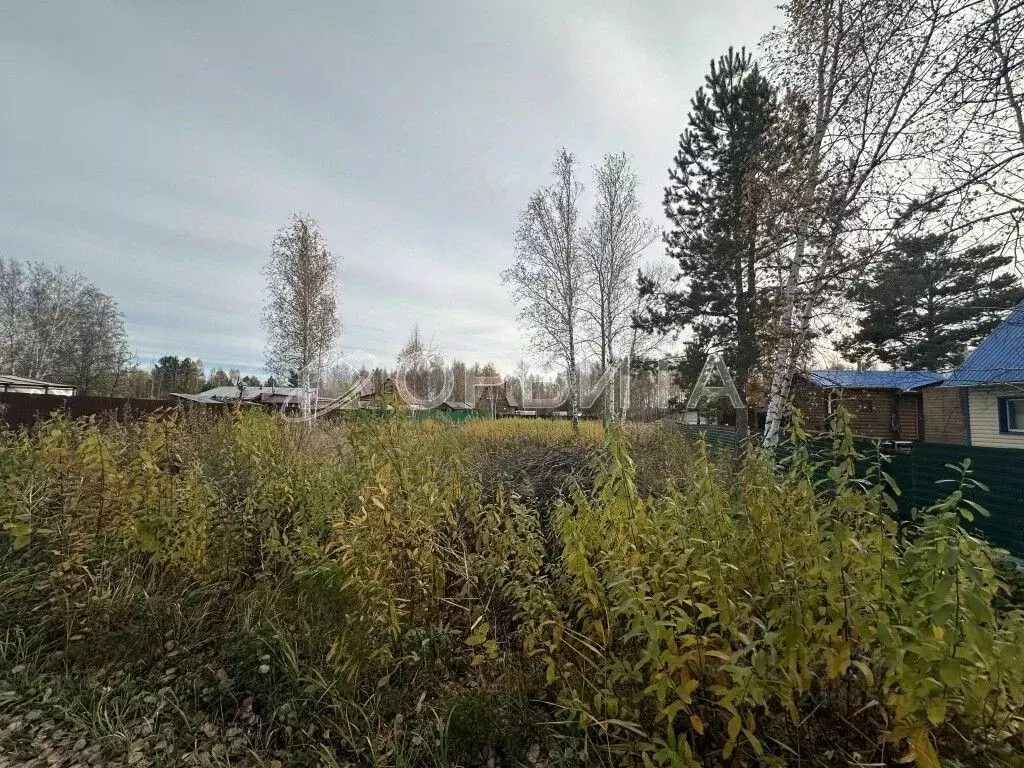 Участок в Тюменская область, Тюменский муниципальный округ, Подъем СНТ ... - Фото 2