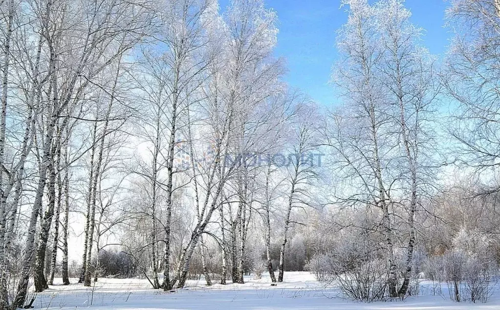Участок в Нижегородская область, Нижний Новгород д. Сартаково, ул. ... - Фото 1