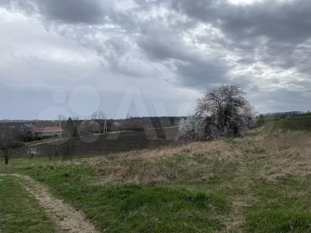 Участок 3,4 га (СНТ, ДНП) - Фото 1