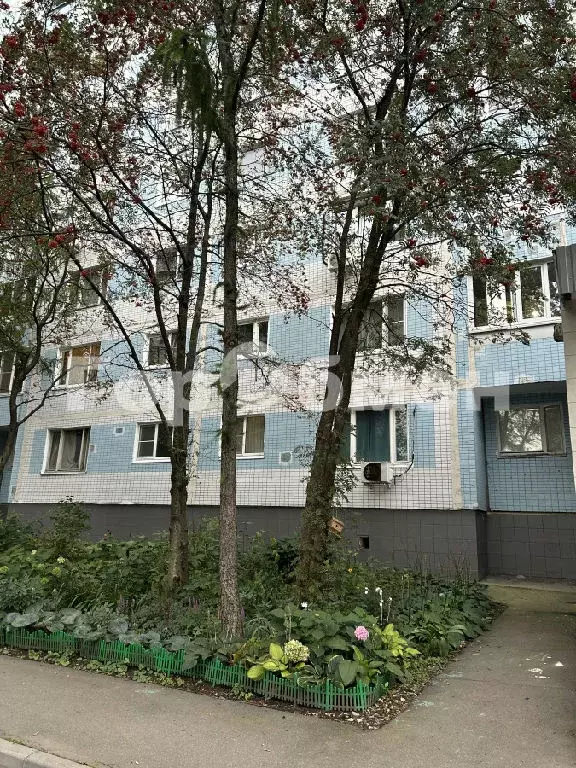 Продается комната в 3-комнатной квартире - Фото 2