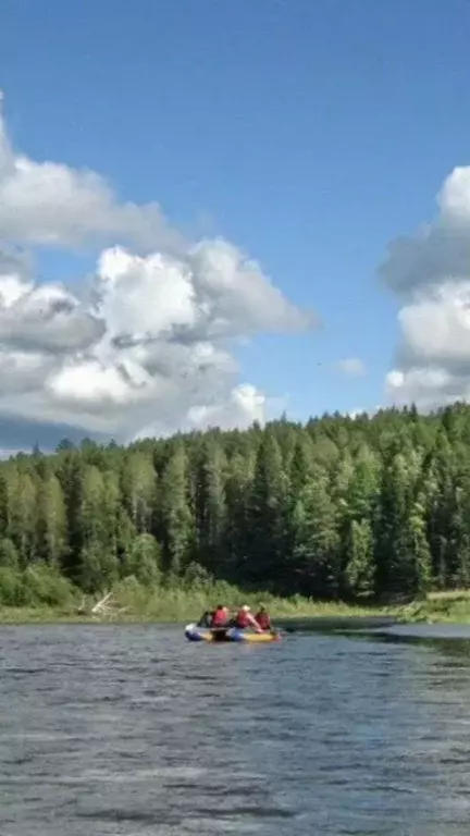 Участок в Свердловская область, Верхняя Пышма городской округ, пос. ... - Фото 1