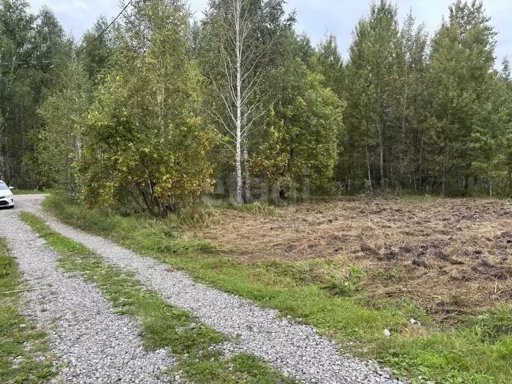 Участок в Тюменская область, Тюменский муниципальный округ, Нефтехимик ... - Фото 1